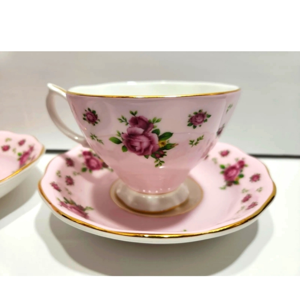 Royal Albert New County Roses Tea Cup and Saucer